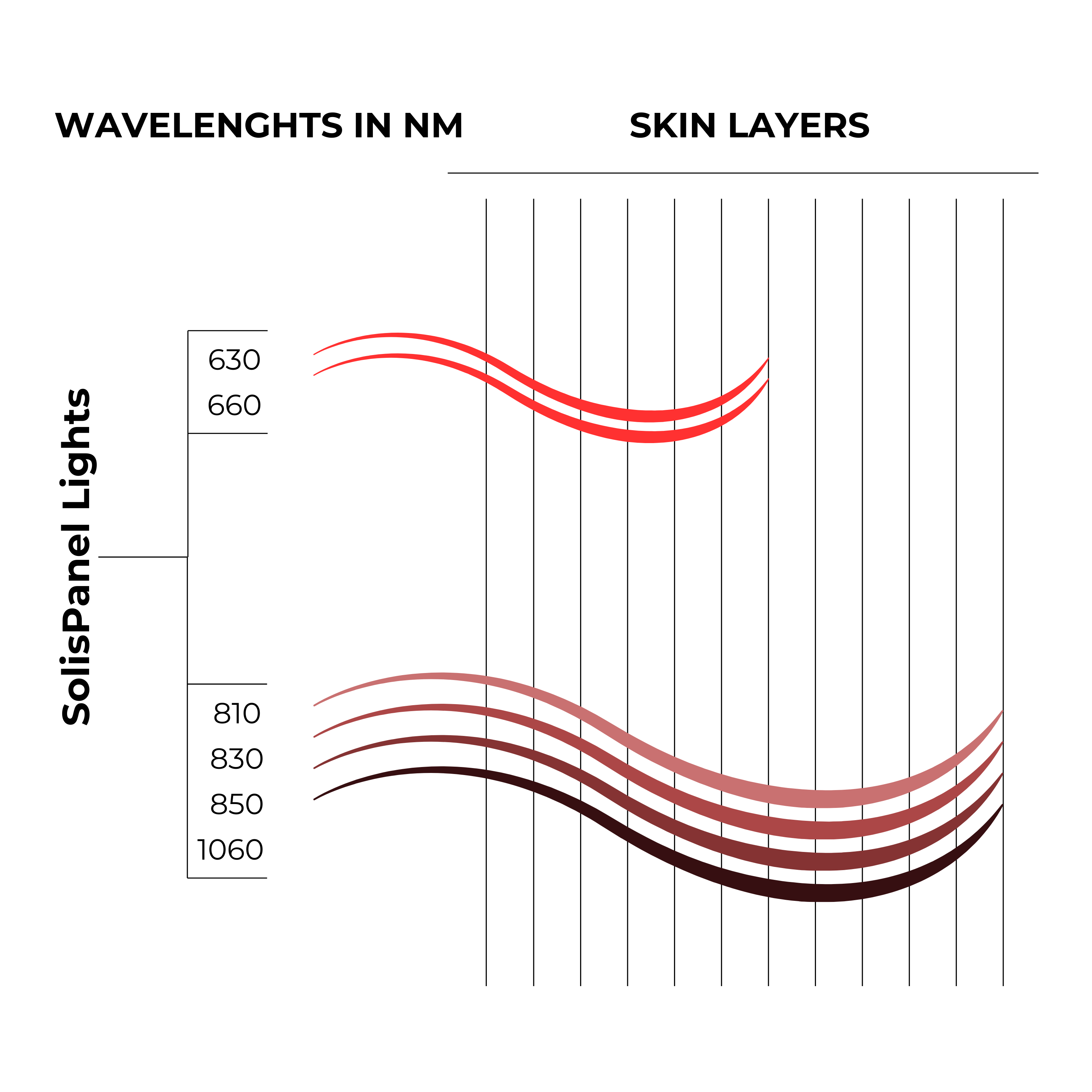 6 Wavelengths in 1 Device