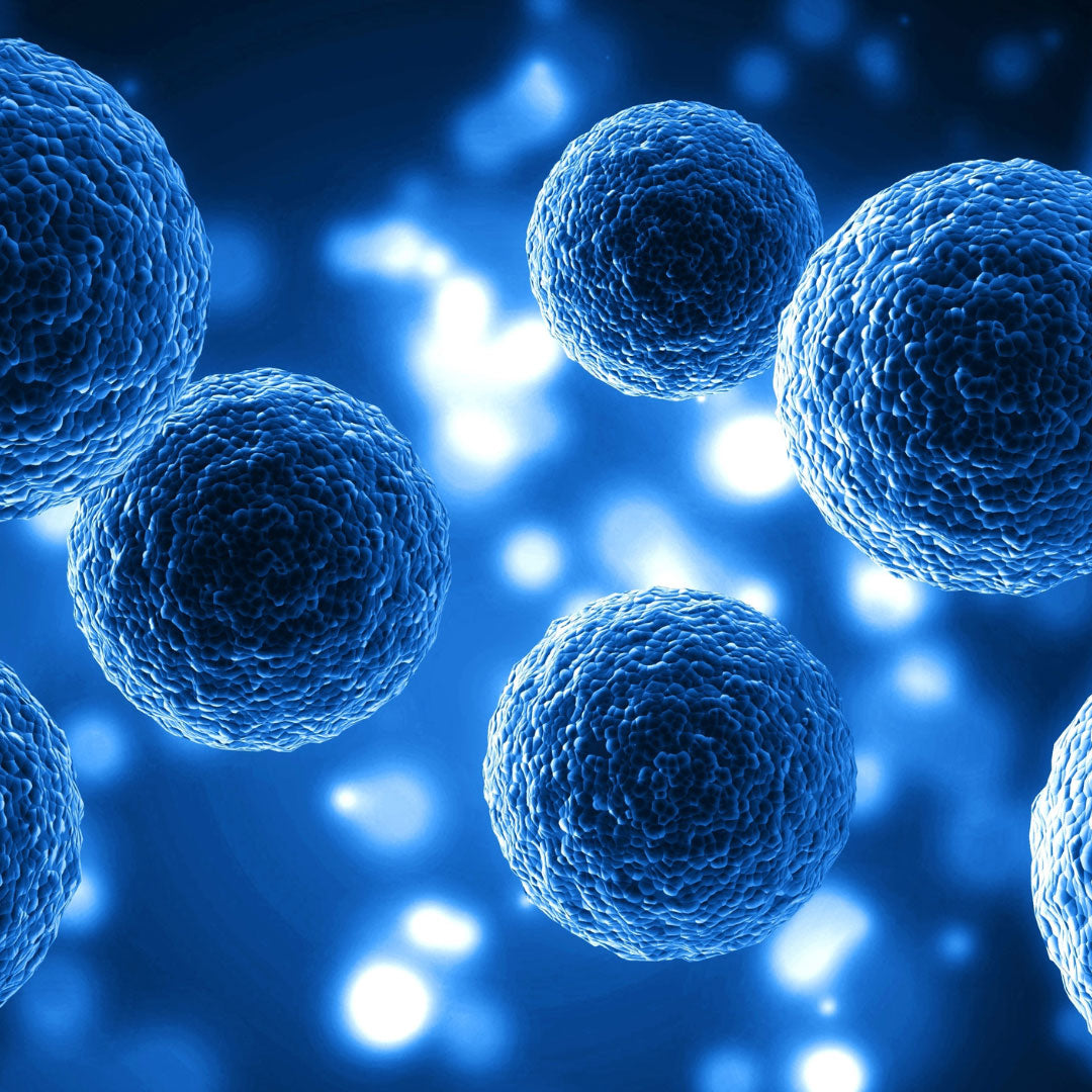 How red and near-infrared light works at the cellular level