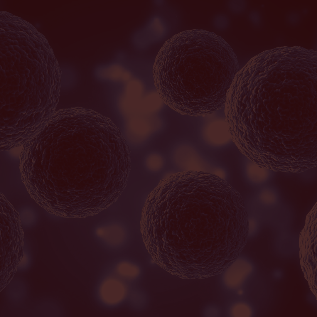 How red and near-infrared light works at the cellular level - focus on mitochondria