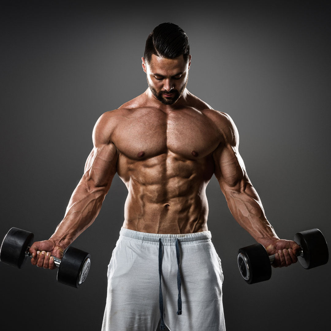 Sport & Performance
